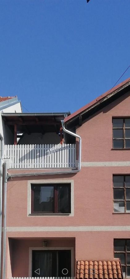 Apartman Andrijana 1 索科矿泉村 外观 照片